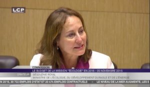 TRAVAUX ASSEMBLEE 14E LEGISLATURE : Projet de loi de finances pour 2016 : vote de la mission "Écologie"