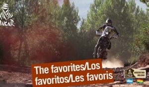 The Favorites / Los Favoritos / Les Favoris – Dakar 2016