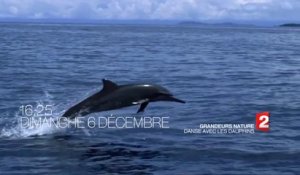 Teaser GRANDEURS NATURE - Danse avec les dauphins