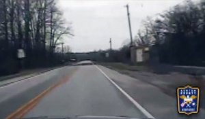 Un cerf percute une voiture et fait un vol plané