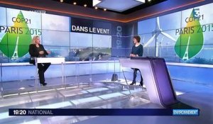 Environnement : que représente le secteur de l'énergie éolienne en France ?