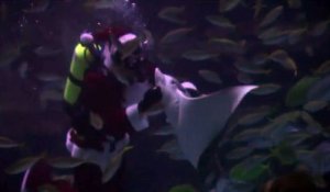 Des plongeurs déguisés en Père Noël dansent un aquarium
