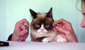 Grumpy cat fait son entrée dans le musée de cire