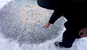 Un phénomène totalement inconnu et inexpliqué à la surface d'un lac gelé