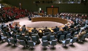 L'ONU adopte une résolution soutenant un plan de paix en Syrie