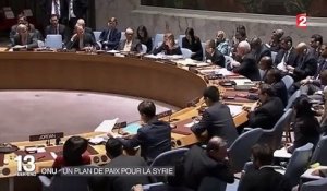 Syrie : le conseil de sécurité tombe d'accord sur un plan de paix