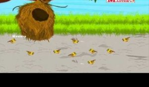 Chittu Kuruvi - Tamil Animation Video for Kids