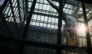 Suicide Squad (2016) - Bande Annonce / Trailer [VF-HD]