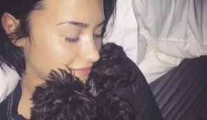 Exclu vidéo : Demi Lovato : Moment câlin avec son chien !