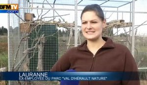 Le zoo de Saint-Thibéry évacue ses animaux après sa liquidation judiciaire