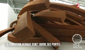 Carré VIP - Bernar Venet nous présente sa fondation - 2016/01/07