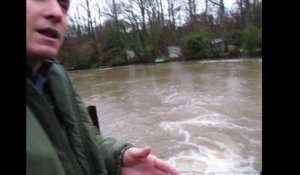 VIDEO.Les anguilles recensées sur la Sèvre à Niort