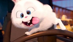 The Secret Life of Pets - Psycho Bunny TRAILER [HD, 720p]