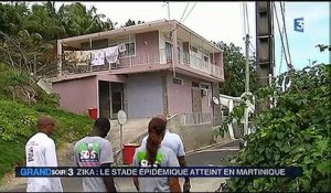 Le virus Zika a atteint le seuil de l'épidémie en Martinique et en Guyane