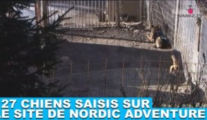 127 chiens saisis sur le site de Nordic Adventure ! Plus d’infos dans la minute chien #114