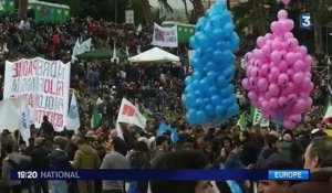 Italie : manifestation contre le "mariage pour tous"
