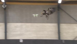 Des aigles entrainés à chasser des drones par la police hollandaise
