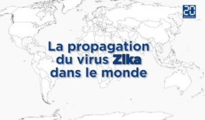 Du Brésil à l'Europe: La propagation du virus Zika dans le monde