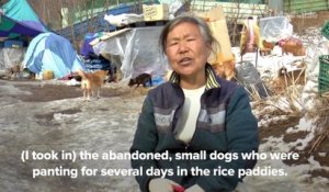 Une sud-coréenne élève 200 chiens qu'elle a sauvés de la mort