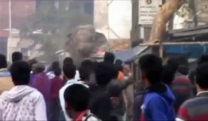 Un éléphant sème panique et destruction dans une ville indienne