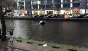 4 hommes plongent pour sauver une femme et son enfant coincés dans une voiture en train de couler dans un canal à Amsterdam