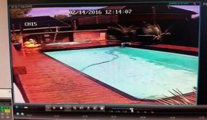 La Piscine d'un hotel secouée par le Tremblement de terre de Christchurch