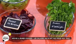 Mâches et jeunes pousses : les salades qui n'ont pas froid aux yeux !