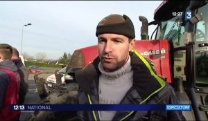 Crise des éleveurs : les agriculteurs bloquent Rennes
