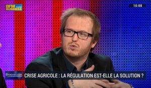 Crise agricole : la régulation est-elle la solution ? - 20/02