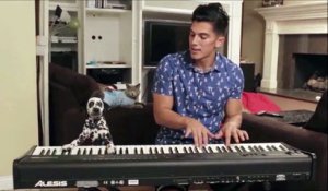 Un chien et son pote humain jouent du piano. Trop marrant