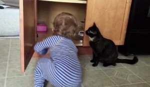 Un Chat Enferme Un Bebe Dans Un Placard Sur Orange Videos
