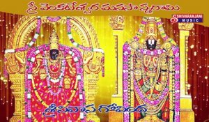 Sreenivasa Govinda || Sri Venkateswara Swami Devotional Songs || Lord Balaji Songs