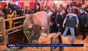 Salon de l'agriculture : une visite difficile pour François Hollande, hué par les éleveurs