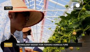 Cinq ans après le tsunami, le Japon parie sur l'agriculture high-tech