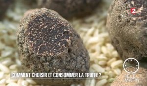 Conso - Comment choisir et consommer la truffe ? - 2016/03/07