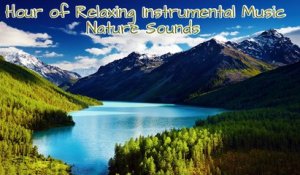 JL - 1 Hour of Relaxing Instrumental Music For Stress Relief with - Nature Sounds