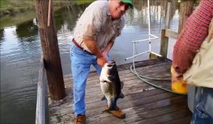Le plus gros poisson black bass peché à la main