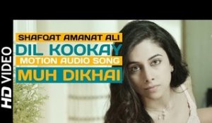 Dil Kookay | Motion Audio Song | Shafqat Amanat Ali | New Romantic Love Song