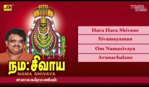 Nama Shivaya | Lord Shiva Songs | S.P.Balasubrahmanyam