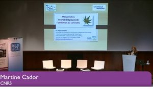 Colloque Jeunes et cannabis 11 février 2016 – Intervention de Martine Cador, PhD, CNRS