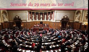 Sénat.Hebdo, semaine du 29 mars au 1er avril 2016