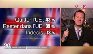 Brexit : le "oui" en tête des sondages