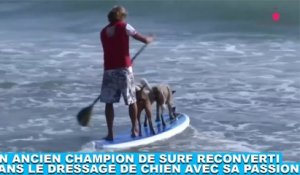 Un ancien champion de surf reconverti dans le dressage de chien avec sa passion ! Découvrez-le dans la minute chien #179