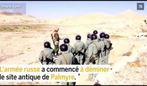 Opération de déminage à Palmyre