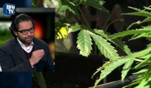 Cannabis: "La responsabilité n'est pas la prohibition", estime l'addictologue