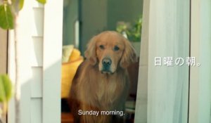 Pub Amazon Premium Lion Sur Orange Videos