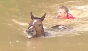 Ils sauvent des chevaux de la noyade lors des inondations au Texas