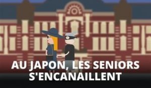 Infographie : le 'crime gris' explose au Japon !