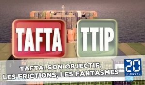 TAFTA: Les raisons de l'échange, les frictions, les fantasmes