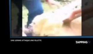 Une lionne attaque une fillette dans un zoo, la vidéo choc !